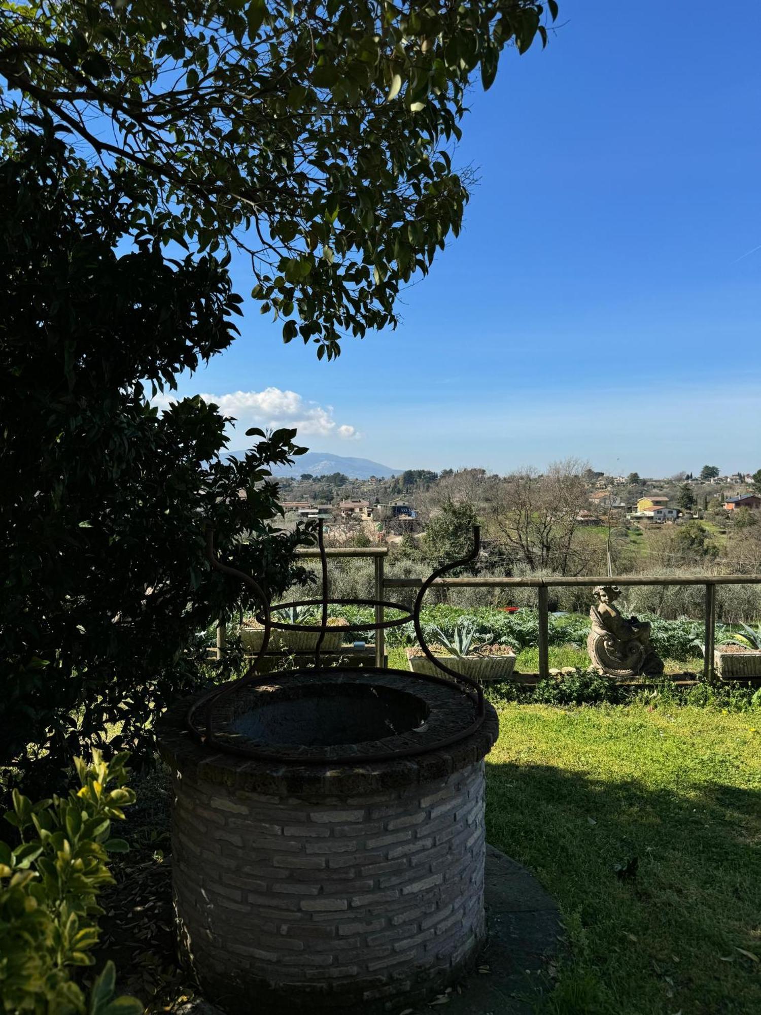 La Terrazza Su Roma Bed and Breakfast Zagarolo Eksteriør billede